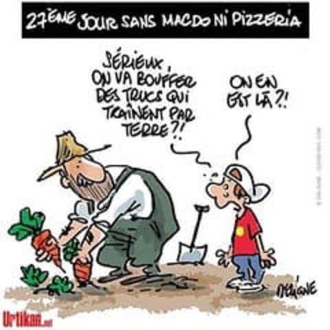 Légumes.jpg