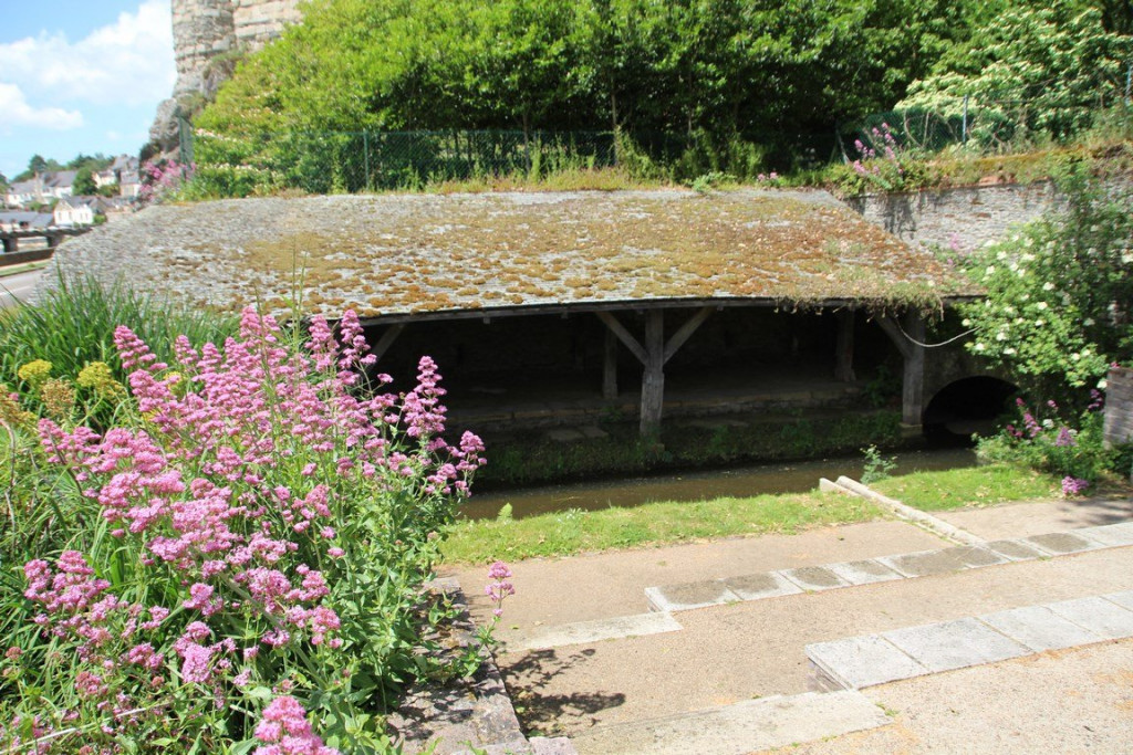 IMG_1739 (Copier).JPG