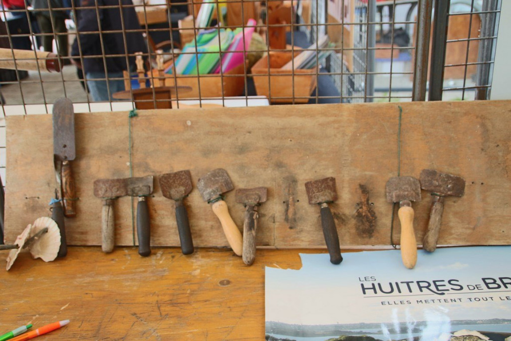 IMG_1950 (Copier).JPG