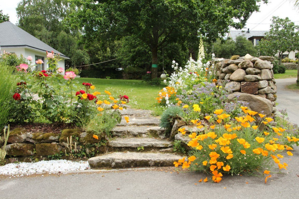 IMG_2039 (Copier).JPG