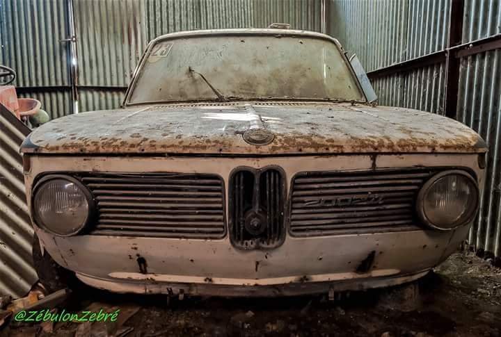 BMW.jpg