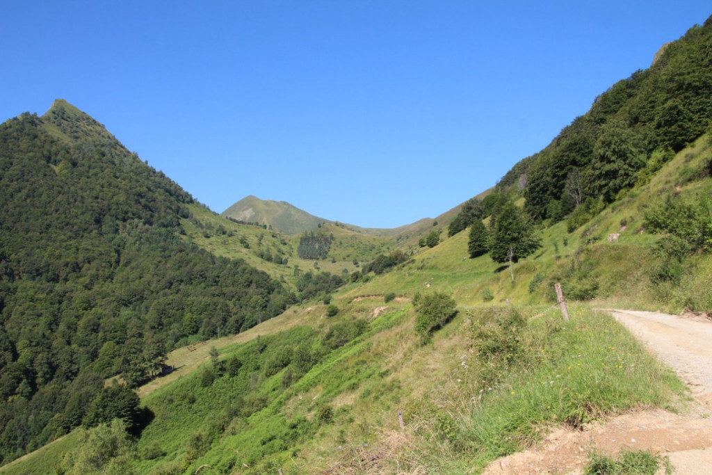 IMG_5654.JPG