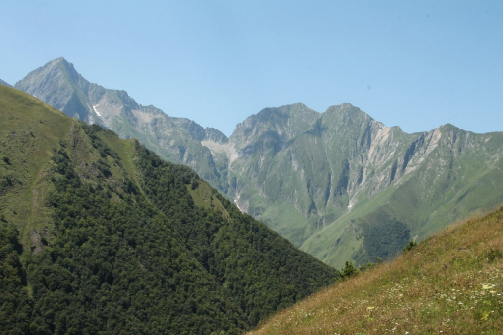 IMG_5739.JPG