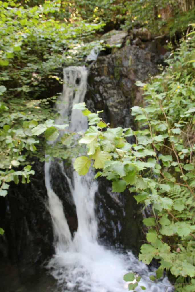 IMG_5563.JPG