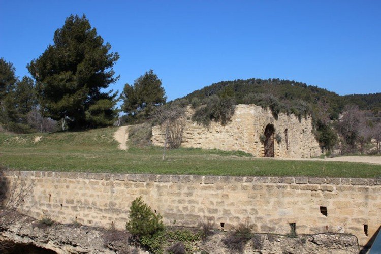 Cadenet chateau.jpg