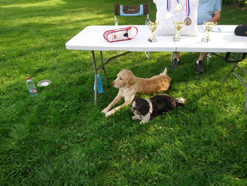 les arbitres surveillent