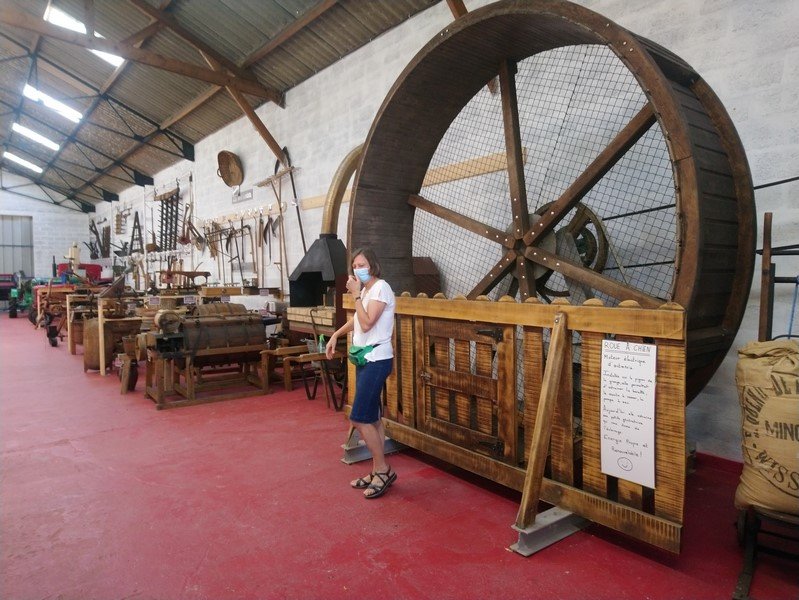 une roue à chien ! c'est lui qui faisait tourner la roue en marchand