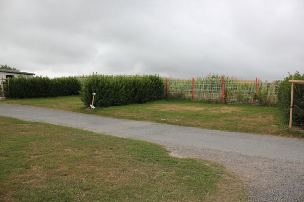 73 [Dpt 14] Vierville.JPG