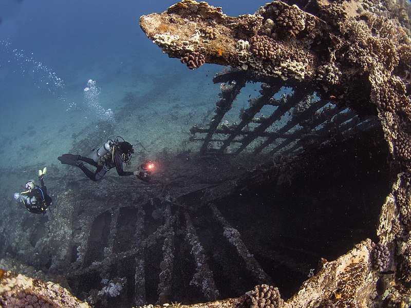 Ship_wreck_Carnatic_2017-04-22_Egypt-7947.jpg