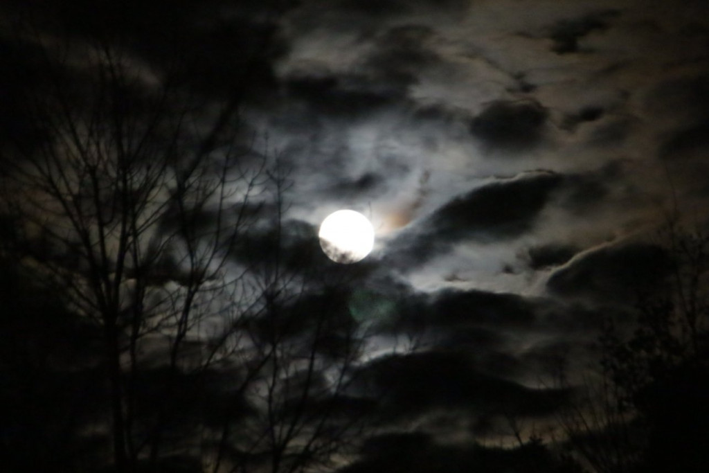 IMG_6095.JPG