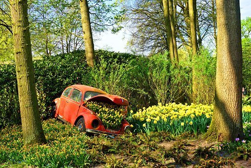 volkswagen-beetlle.jpg