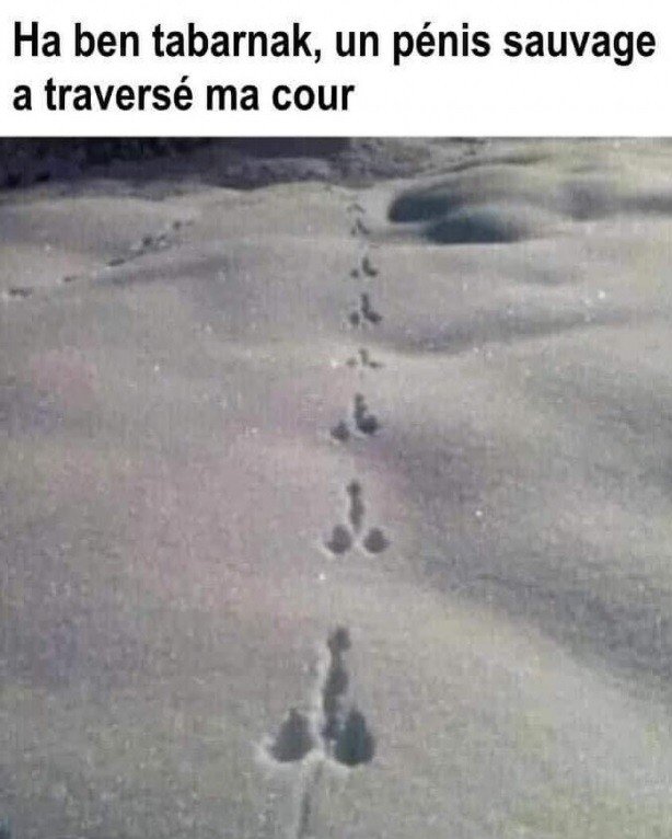 Tabarnacle.jpg