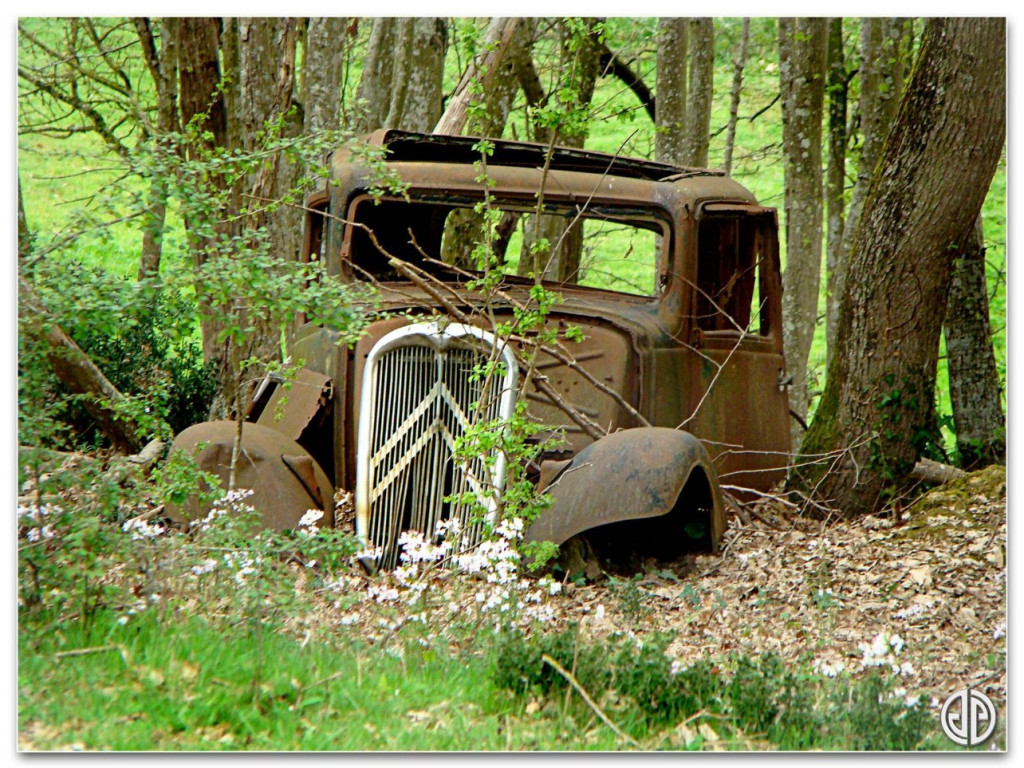 Citroen.jpg