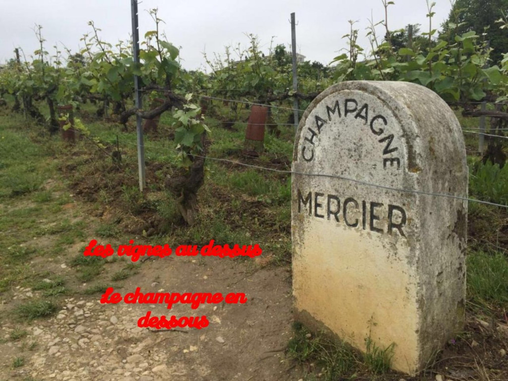Epernay_2 (1)-page-025.jpg
