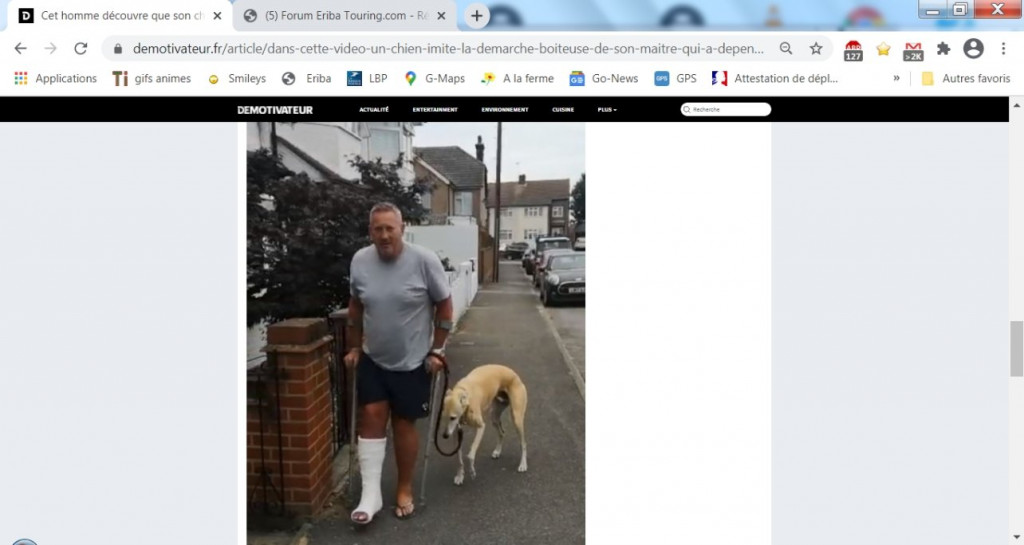 chien qui boite.jpg