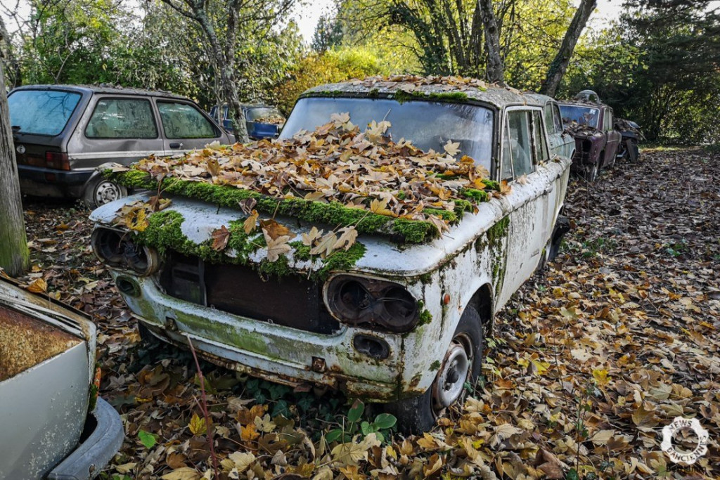 Fiat.jpg