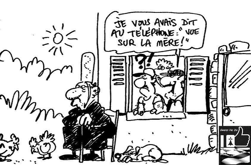 37060_n.jpg