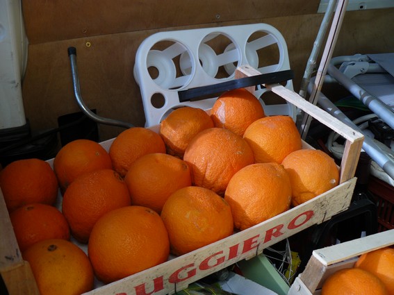 oranges.jpg