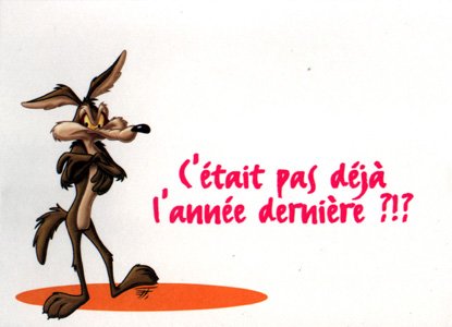 Anniv coyotte.jpg