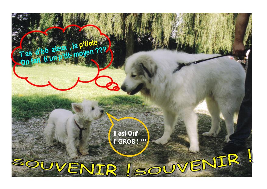 Balou.pub 1.jpg