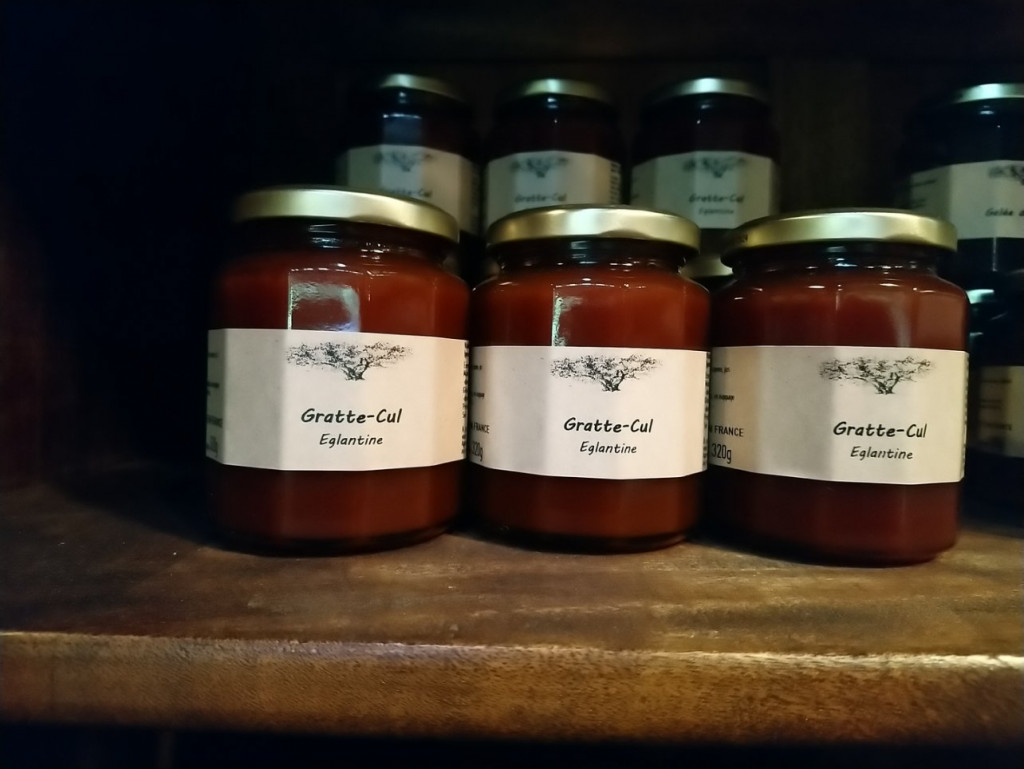 DSC_0018 (Copier).JPG