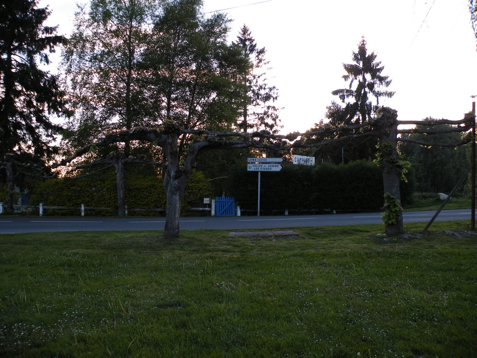 29.JPG