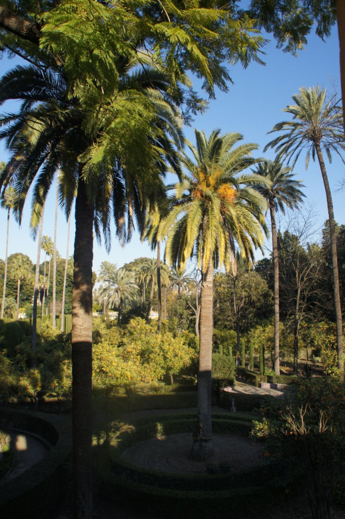 alcazar seville