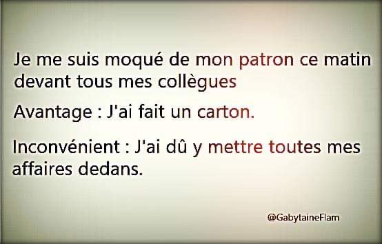 43DA1414-44F6-4C4D-981A-CAAF0FCFF86C.jpeg
