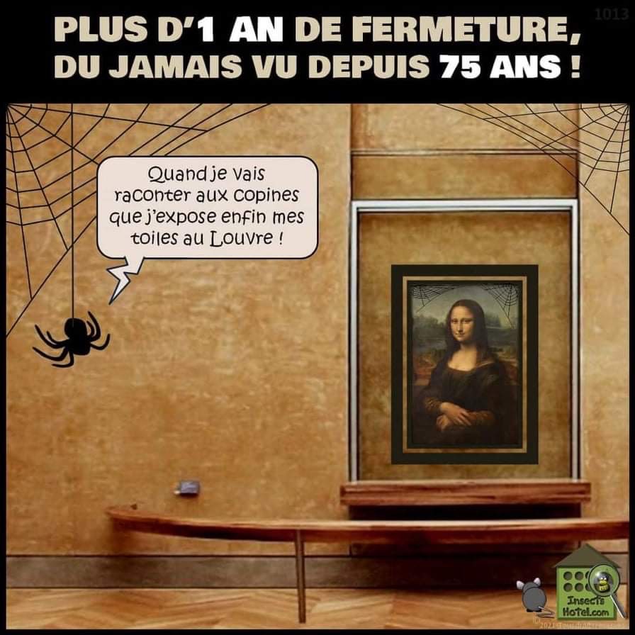 8C1A1C75-769C-4098-BCA9-1A562F9542E0.jpeg