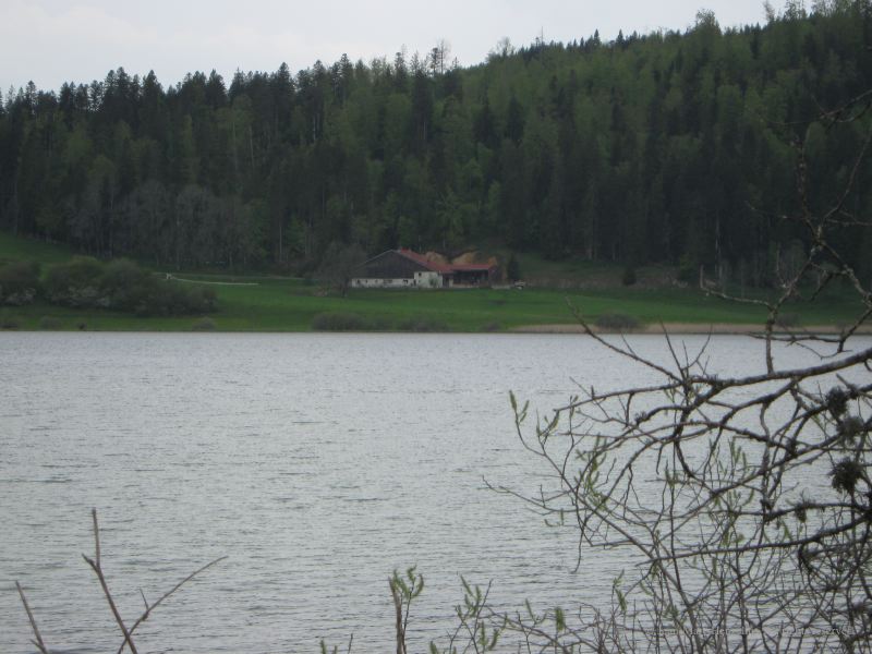 l14.jpg