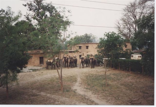 0Camping_Corbett_Tiger_Reserve_India.jpg