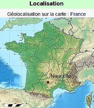 Naucelle carte.jpg