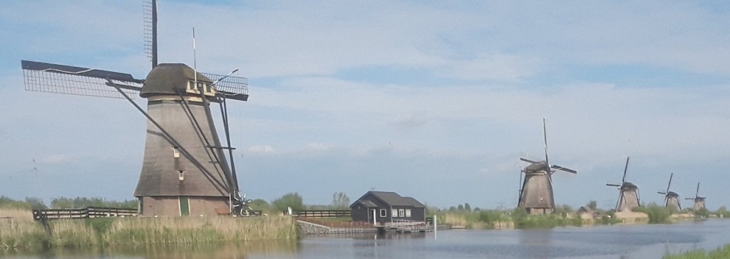 20220501_172916.jpg