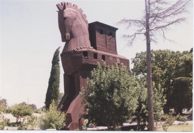 0Troy_Turkey.jpg