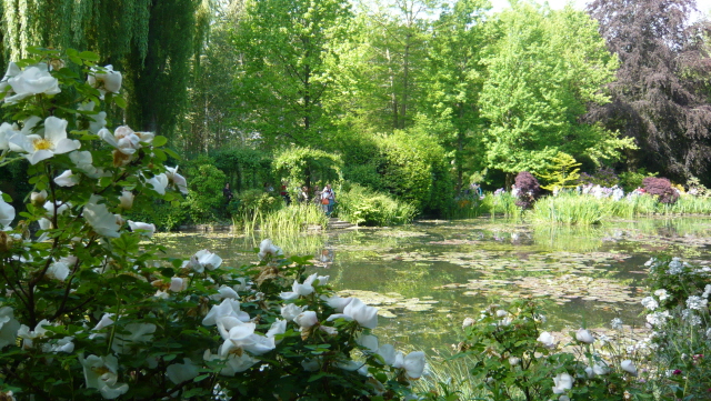 P1020291.JPG