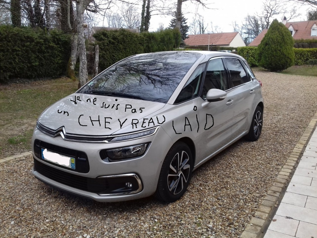 c4 chevronnée .jpg (392.58 Kio) Vu 21206 fois chevron née