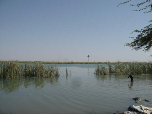 P1000798.JPG