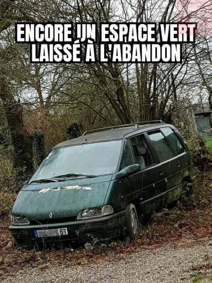 80E47BFE-0C72-473B-B1F8-4D9FD3F2E367.jpeg