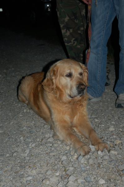 DSC_9897 (Medium).JPG