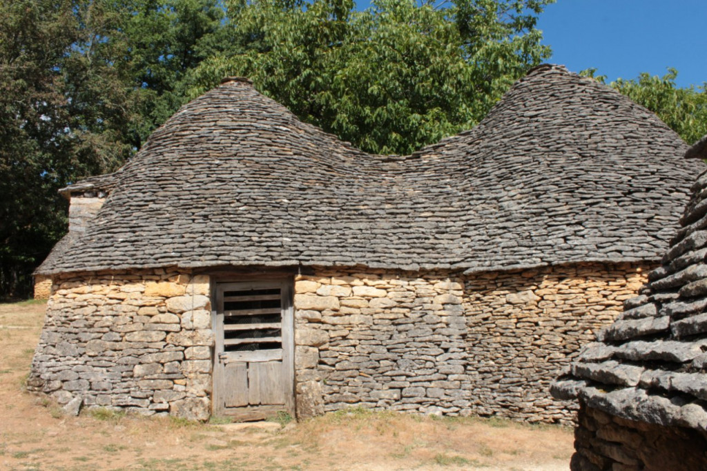 IMG_9869.JPG
