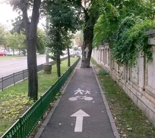 Piste cyclable.jpg