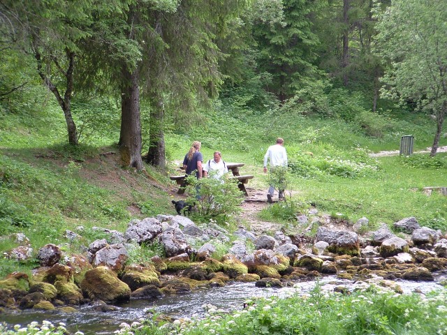 DSCF0151.jpg