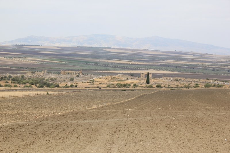 VOLUBILIS