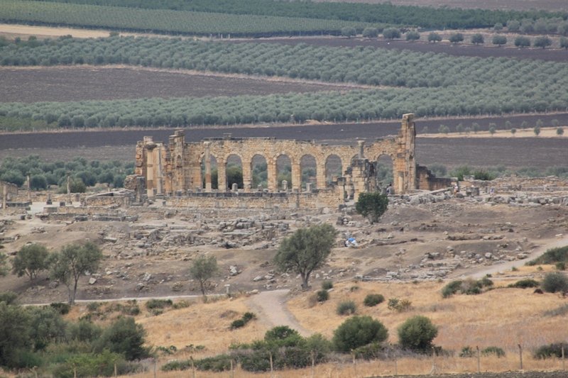 VOLUBILIS