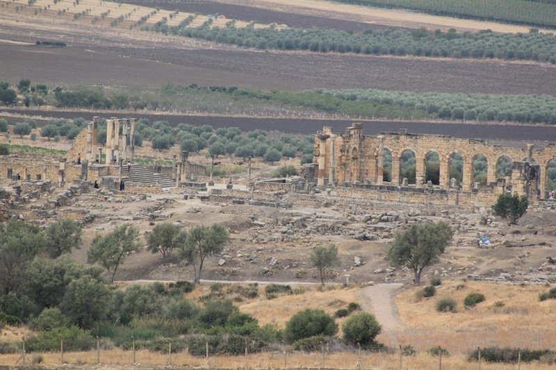 VOLUBILIS