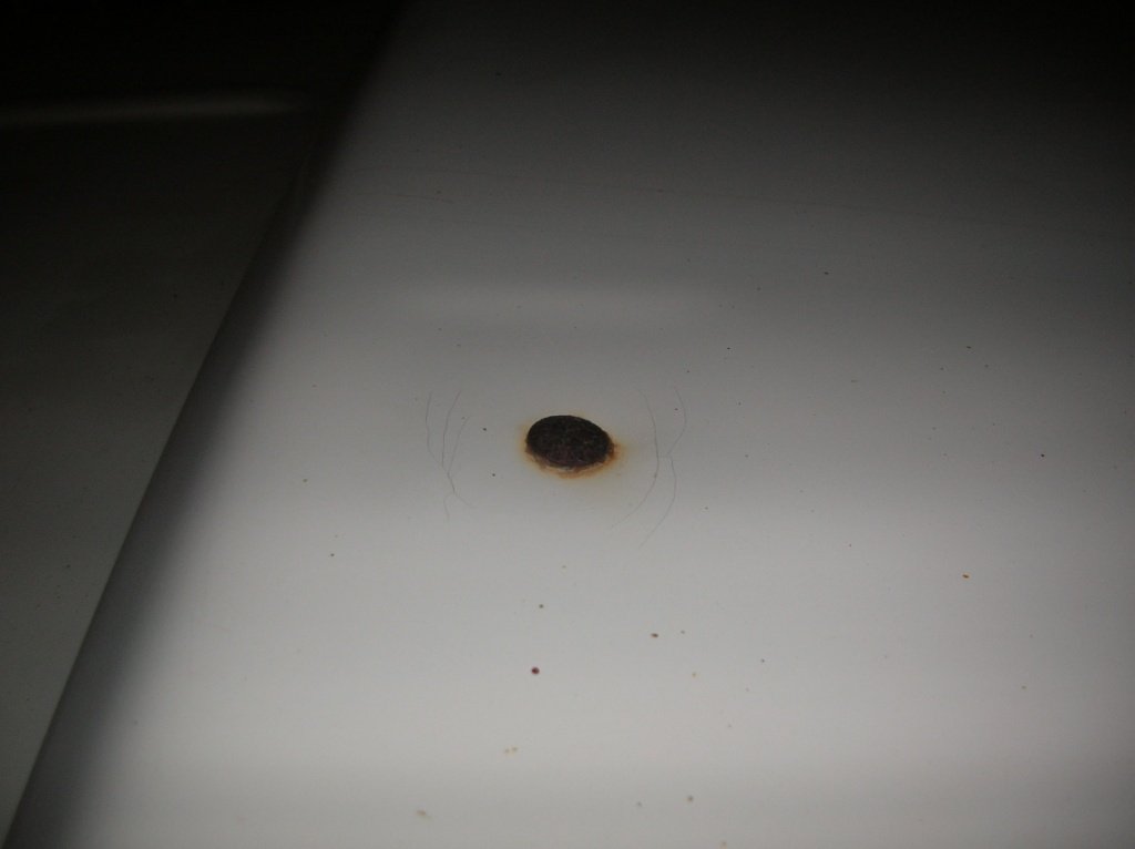DSCN6240.JPG
